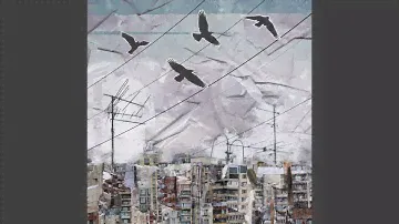 Колея
